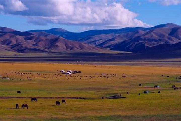 Emma, 32 — Escort in Tavanbulag, Mongolia