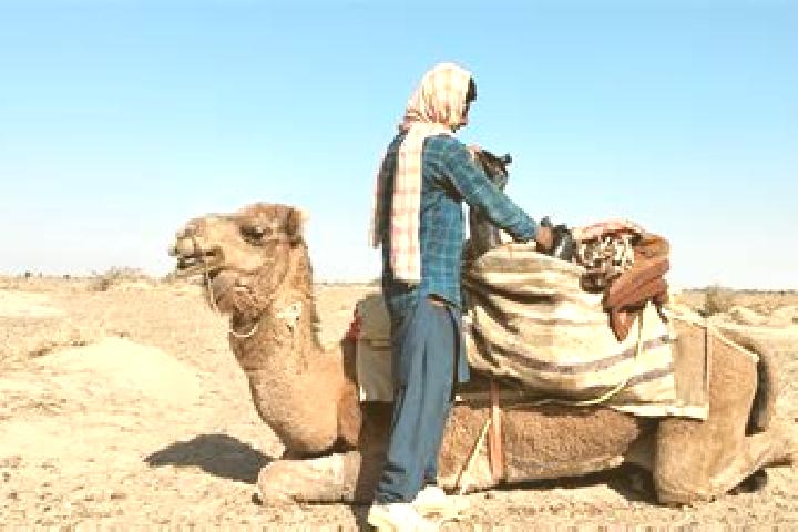 Emma, 33 — Escort in Dasht-e Qal ah, Afghanistan