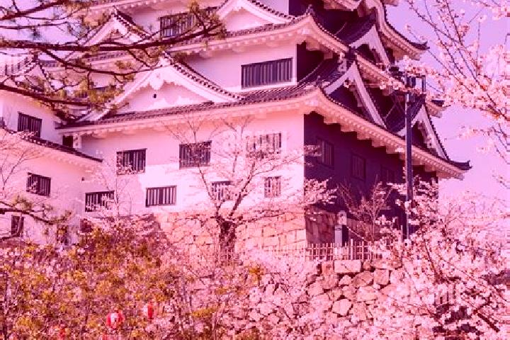 Emma, 35 — Escort in Fukuyama, Japan