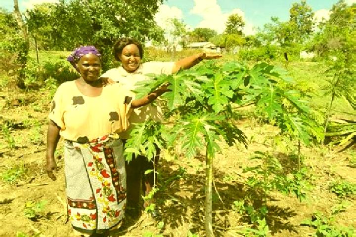 Emma, 35 — Escort in Kitui, Kenya