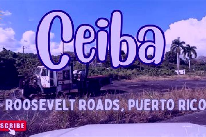 Emma, 36 — Escort in Ceiba, Puerto Rico