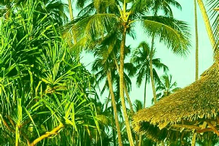 Emma, 36 — Escort in Igurusi, Tanzania