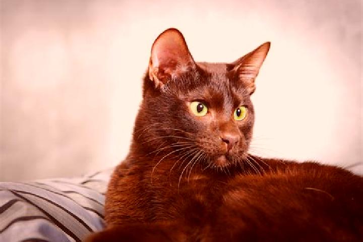 Emma, 37, a black brown-eyed slavic companion based in Sulop. Offering Travel Companion, Deep French Kissing, Party Girl, Domination, BDSM. Available for inc...