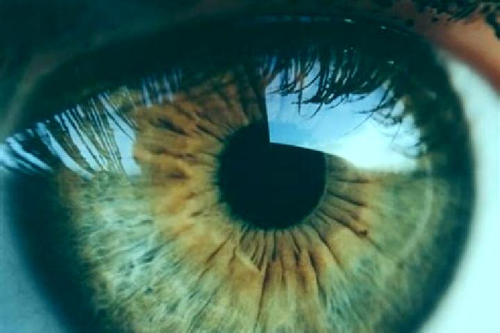 Emma, 37, a dark blonde hazel-eyed mixed companion based in Morro do Pilar. Offering Overnight, Prostate Massage, GFE. Available for incall and outcall, over...