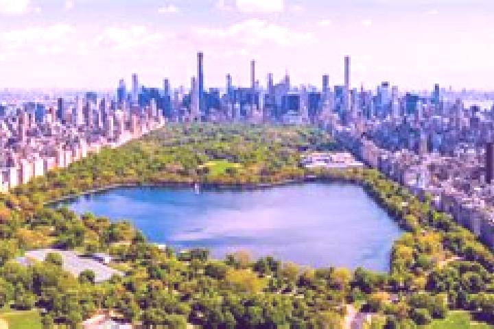 Emma, 37 — Escort in Central Forest Park, United States