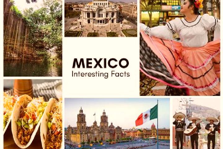 Emma, 37 — Escort in Janos, Mexico