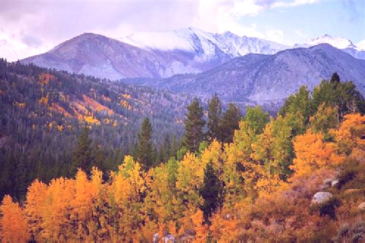 Emma, 37 — Escort in Mammoth Lakes, United States