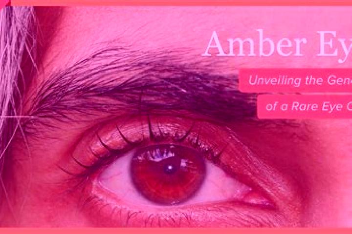 Emma, 39, a red amber-eyed european companion based in El Prado. Offering Fetish, BDSM, Prostate Massage. Available for incall and outcall, overnight booking...