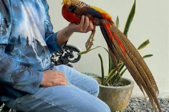 Emma, 39 — Escort in El Faisan, Mexico