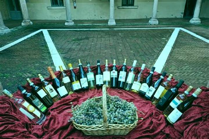 escort Abbazia Pisani