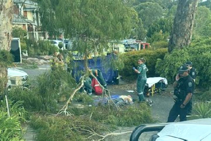 escort Aberfoyle Park