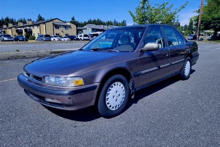 escort Accord