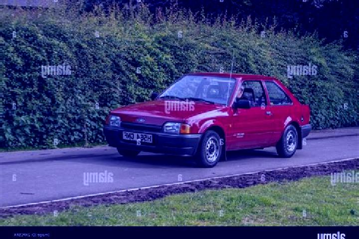 escort Achterwehr