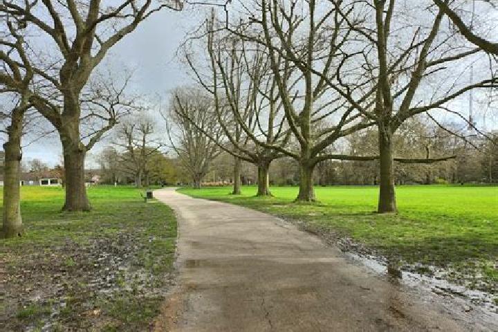escort Acton Park