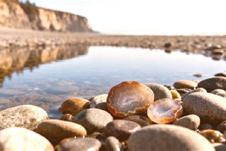 escort Agate Beach