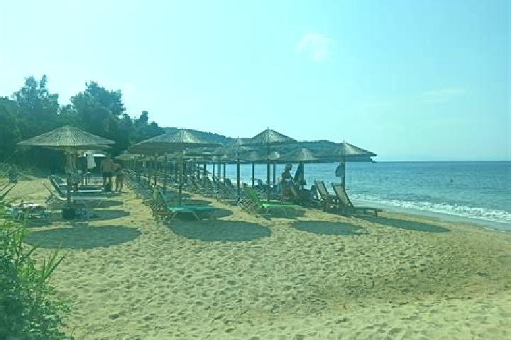 escort Agia Paraskevi Lamieon