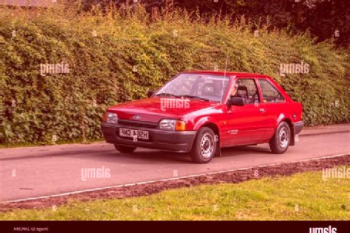 escort Agordo