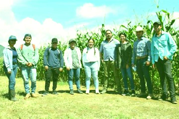 escort Agronomos Mexicanos