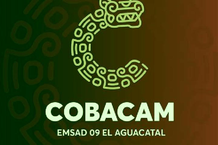 escort Aguacatal