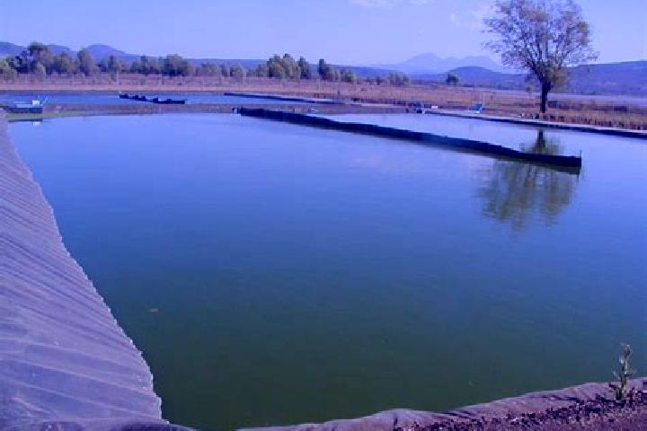 escort Aguas Verdes