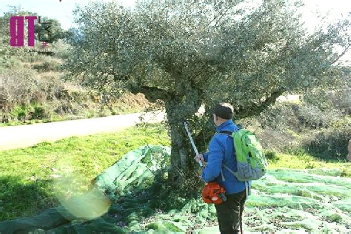 escort Ahigal de los Aceiteros