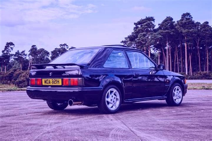 escort Ahuisculco
