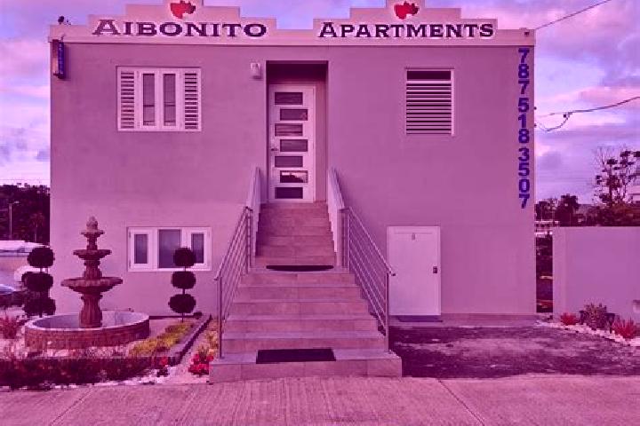 escort Aibonito