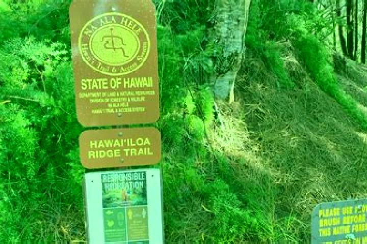 escort Aina Haina-Hawaii Loa Ridge