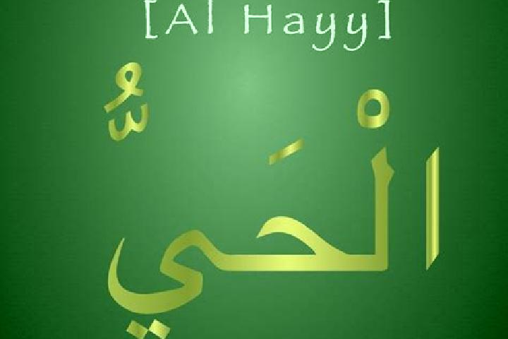 escort Al Hayy
