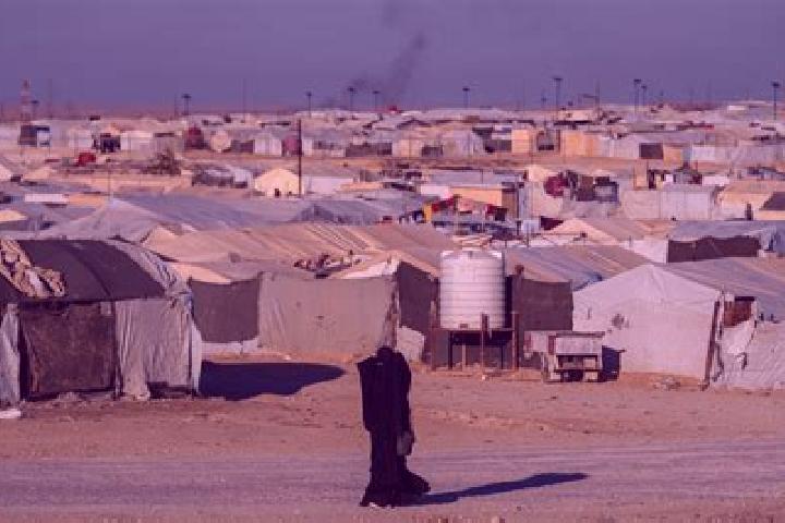 escort Al-Junaynah