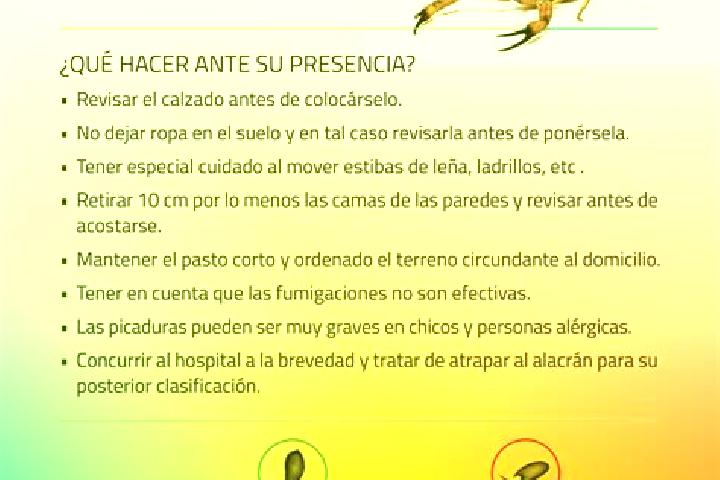 escort Alacranes