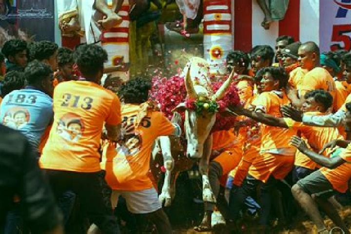 escort Alanganallur