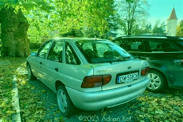 escort Albinea