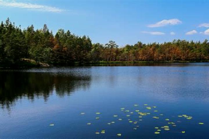 escort Albro Lake