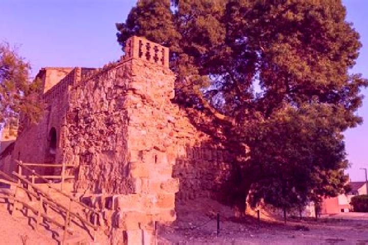 escort Alcala de Ebro