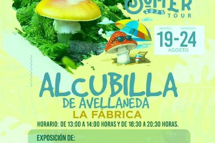 escort Alcubilla de las Penas