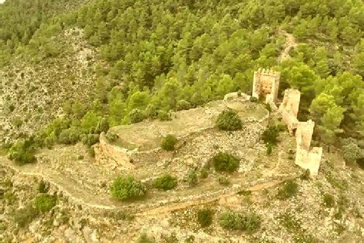 escort Alcudia de Veo