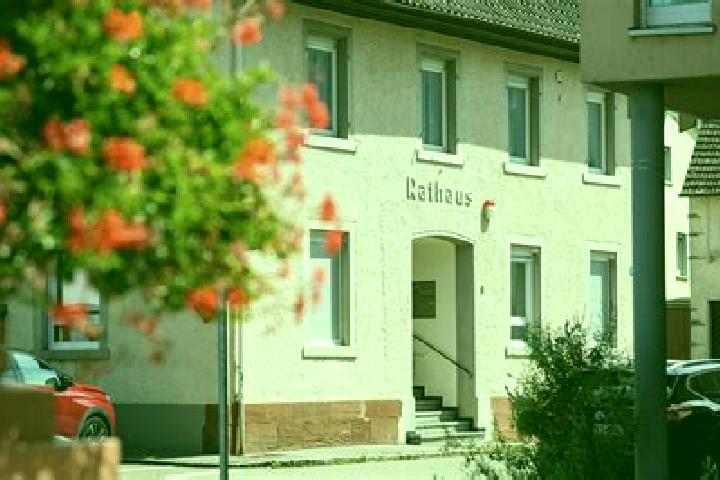 escort Aletshausen