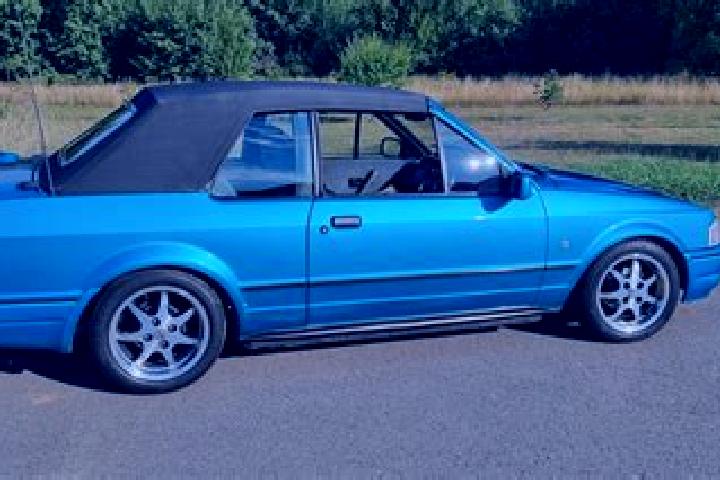 escort Alf