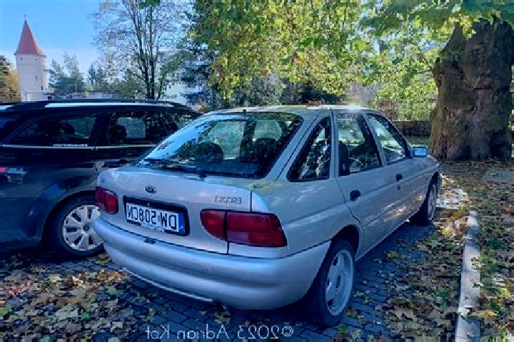 escort Algester