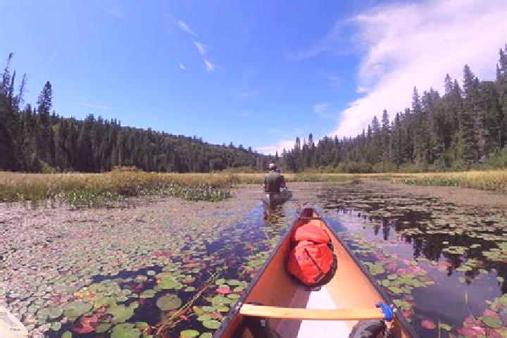escort Algonquin