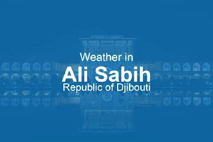escort Ali Sabih