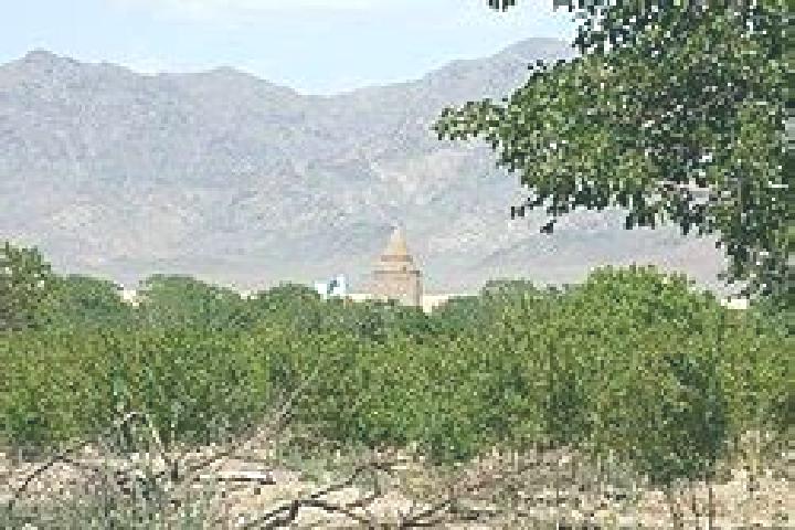 escort Aliabad-e Keshmar