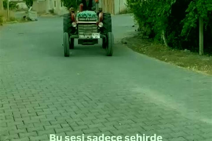 escort Alibeyli