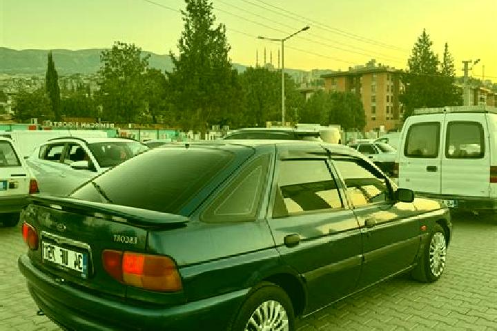 escort Alim