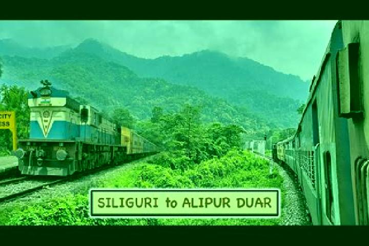 escort Alipur Duar