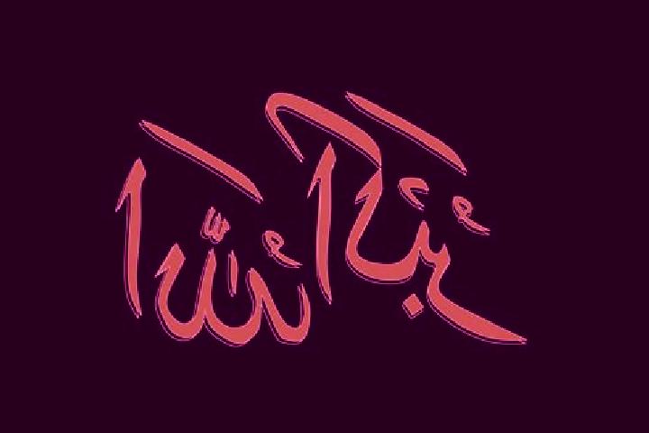 escort Allahou-Bazi