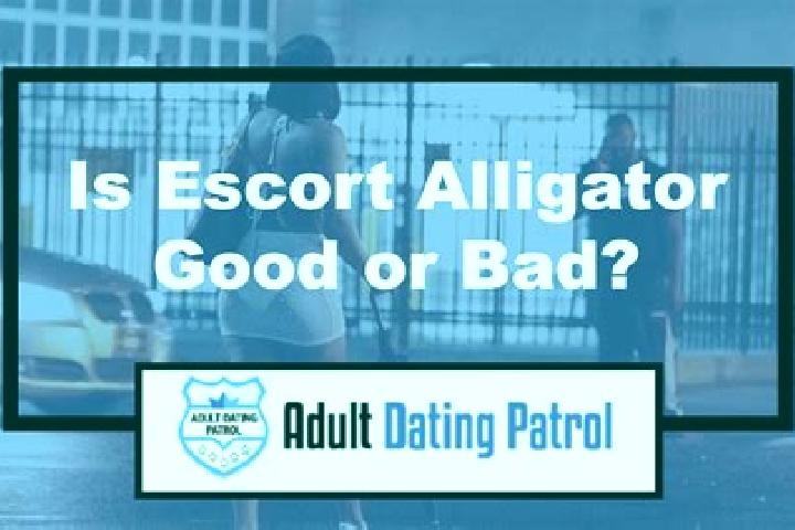 escort Alligator Creek