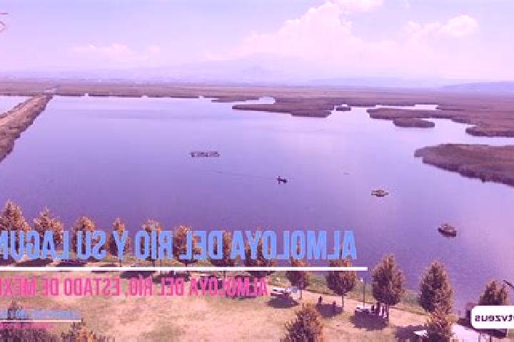 escort Almoloya del Rio