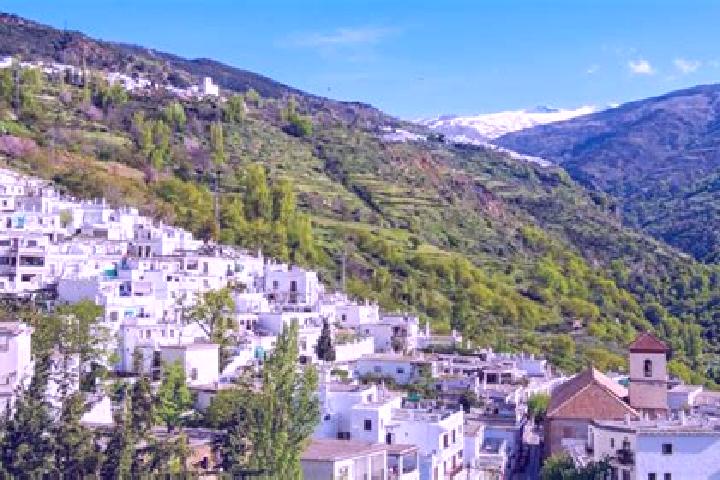 escort Alpujarra